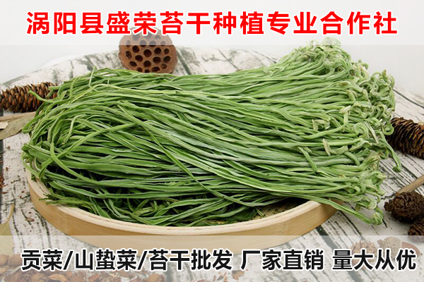 黄山哪里有贡菜批发厂家电话