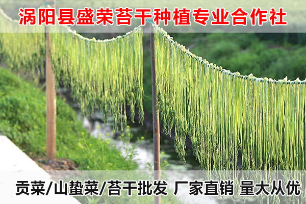 无锡哪里有供应贡菜厂