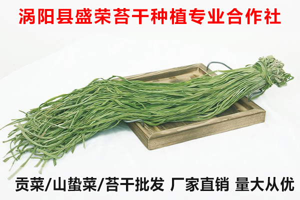 青海哪里有出售大量贡菜厂