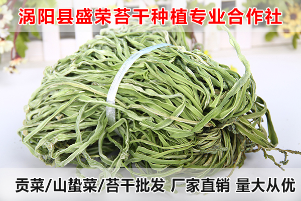 黄山哪里有贡菜批发厂家电话
