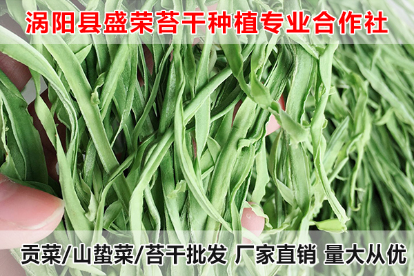 黄山哪里有售卖大量贡菜厂