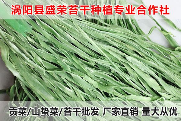 亳州哪里有提供贡菜厂家