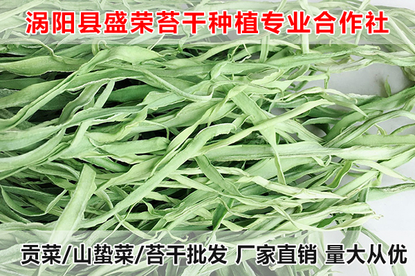 上海哪里有贡菜供应厂