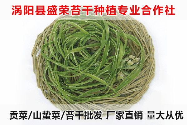 抚州哪里有贡菜大量供应厂家电话