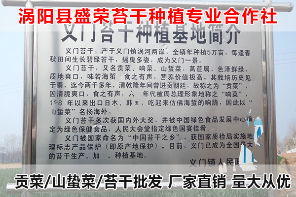 黄山哪里有贡菜批发厂家电话